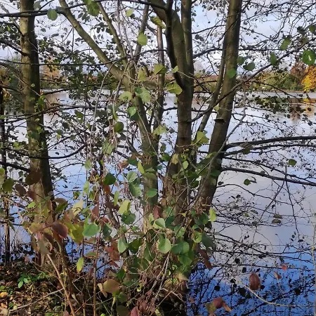 Lägenhet In Bissendorf
