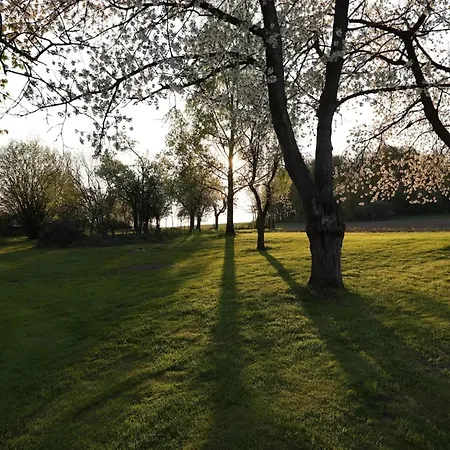 아파트 In Bissendorf